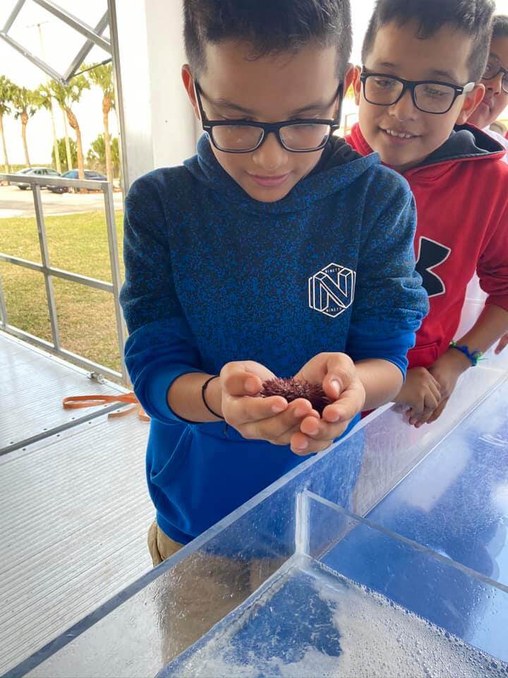 Elementary students touching urchins in FFA's touch tank.