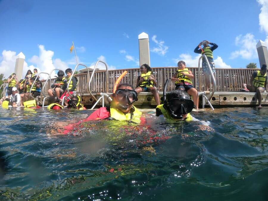 Students snorkeling off the dock.
