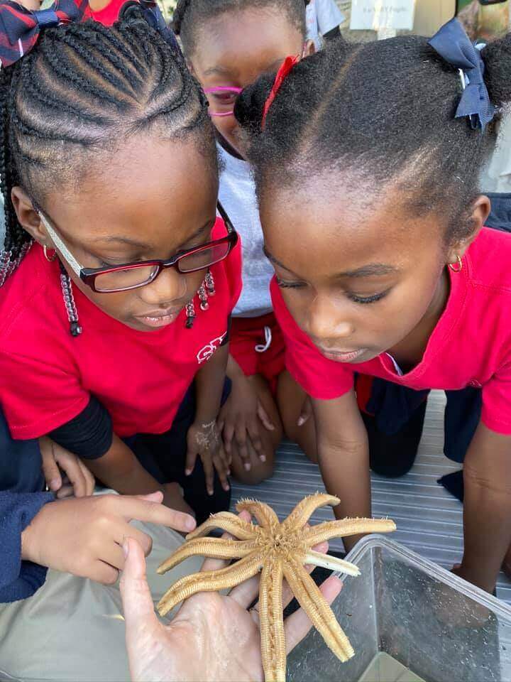 Girls observing a star fish in the Mobile Marine Lab.