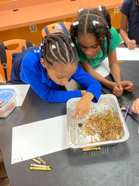 Two students during a class lesson on Sargassum seaweed.